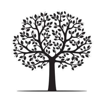 Black Tree with Leafs. Vector Illustration.