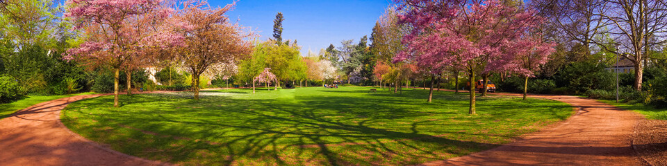 Fototapeta na wymiar Spring Park landscape. Panoramic view of a park