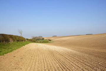 Obraz premium chalky plowed soil in springtime