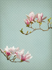 Fond de papier fleur de magnolia