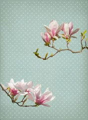 Cercles muraux Magnolia Fond de papier fleur de magnolia