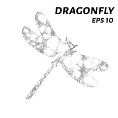 Dragonfly consists of points, lines and triangles. The polygon shape in the form of a silhouette of a dragonfly. Vector illustration
