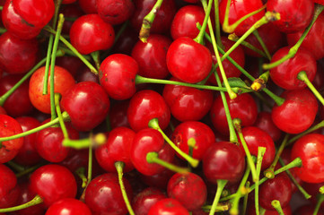 Fresh cherries