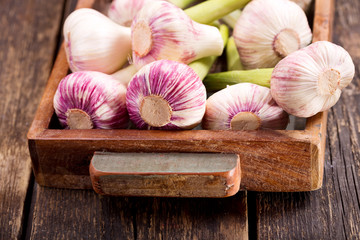 fresh garlic in a wooden box