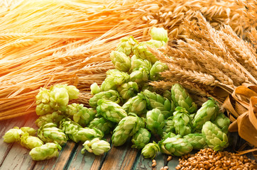 Green hops, malt, ears of barley and wheat grain