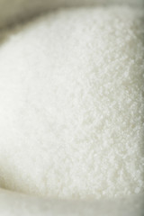 Raw White Granulated Sugar