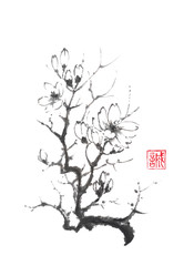 Blooming magnolia tree Japanese style original sumi-e ink painting.