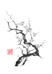 Japanese style sumi-e blooming plum tree ink painting. - 143969557
