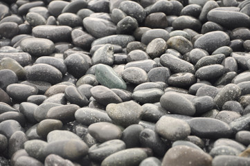 Natural  of Sea pebbles background