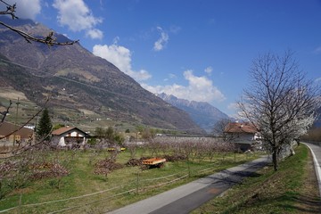 Frühlingserwachen in Südtrirol