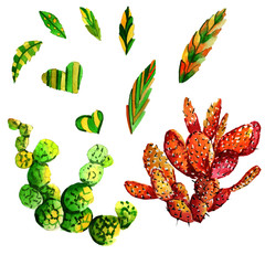 Tropical cactus tree in a watercolor style isolated.