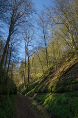 Drachenschlucht