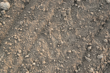 closeup soil texture 