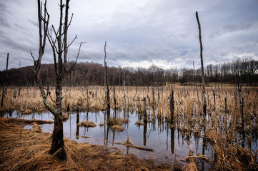 Highland Lakes State Park