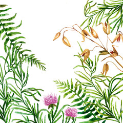 Watercolor botanical elements