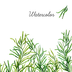 Watercolor botanical elements