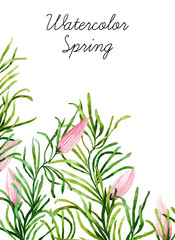 Watercolor botanical elements