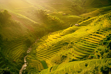 Ochtend rijstterrassen in de kloof. Vietnam Rijstveldterrassen op de bergen in Mu Cang Chai Vietnam.