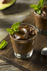 Organic Healthy Homemade Avocado Pudding