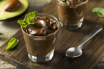 Organic Healthy Homemade Avocado Pudding
