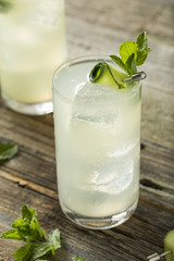 Refreshing Cucumber Gin Spritz Cocktail