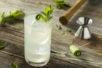 Refreshing Cucumber Gin Spritz Cocktail