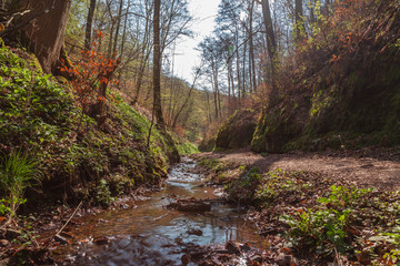 Drachenschlucht
