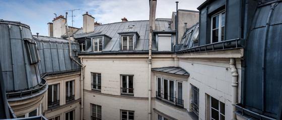 gray Parisian rooftops