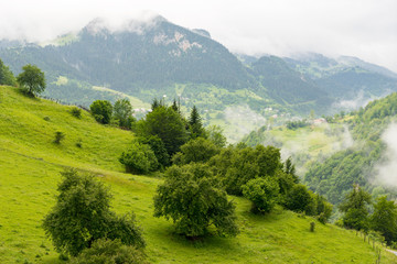 Fototapeta premium Beautiful Mountain view to Highland and Trees