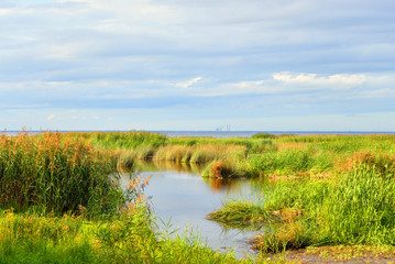 Coast of Gulf of Finland.