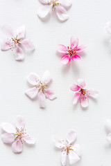 Fototapeta na wymiar close up of light and soft sakura flower and green leaves behind on white background. Concept of love. feeling of spring. Dof on sacura flower. top view. Flat lay.