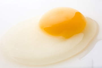 A broken chicken egg lies on a white background with a shell, yolk and spilled protein, isolated

