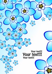 Beautiful background from flowers