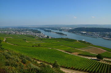 panorama