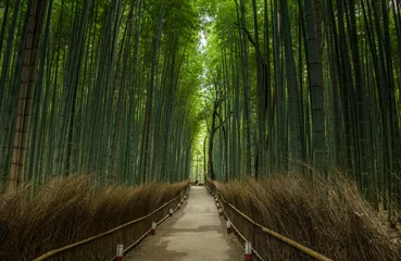 Photo sur Plexiglas Bambou Forêt de bambous, Japon