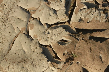 Dry lake textures