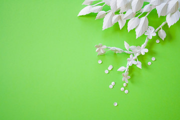 Blooming branch, cut out of white paper on a green background