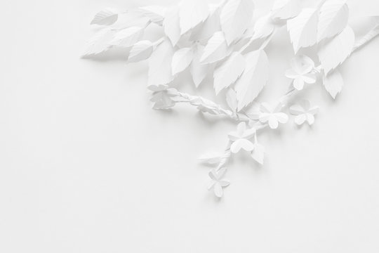 Blooming Branch, Cut Out Of White Paper On A White Background