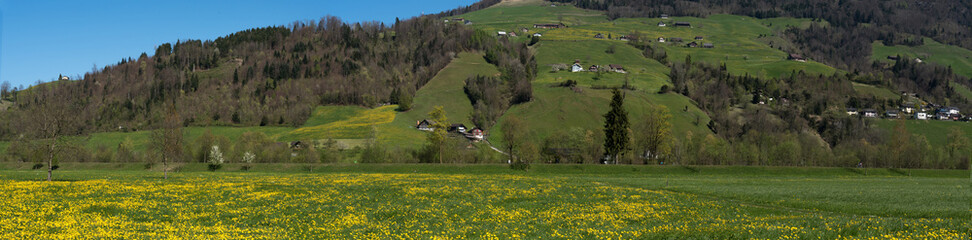 Obraz premium Panorama of Alps and meadow,Switzerland
