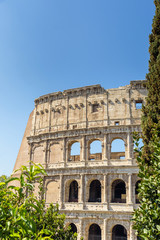 Fototapeta na wymiar Colosseum in Rome, italy