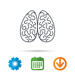 Neurology icon. Human brain sign. Calendar, cogwheel and download arrow signs. Colored flat web icons. Vector