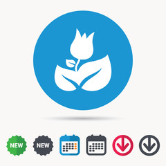 Rose flower icon. Florist plant with leaf symbol. Calendar, download arrow and new tag signs. Colored flat web icons. Vector