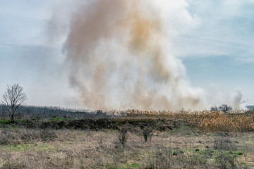 Fototapeta na wymiar Fire at landfill with white smoke in sunny weather and clouded sky.