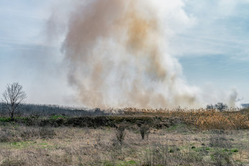 Fire at landfill with white smoke in sunny weather and clouded sky.