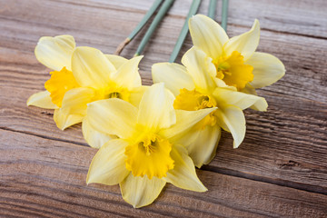 Obraz na płótnie Canvas Beautiful yellow narcissus (daffodils) on rustic wooden background. Colorful card for Mothers Day.