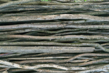 thin wooden sticks, firewood material