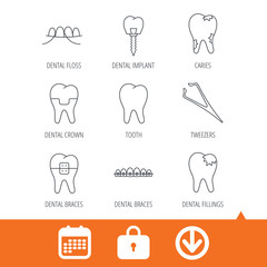 Dental implant, floss and tooth icons. Braces, fillings and tweezers linear signs. Caries icon. Download arrow, locker and calendar web icons. Vector