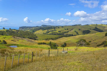 Mahurangi Regional Park Auckland New Zealand