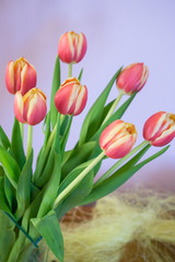 Decorations and accessories for happy Easter, including flowers, colorful eggs in a basket and willow