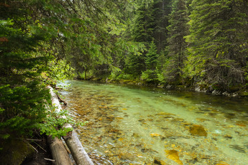 Crystal clear Lostine River in the Wallowa Mountains of Oregon